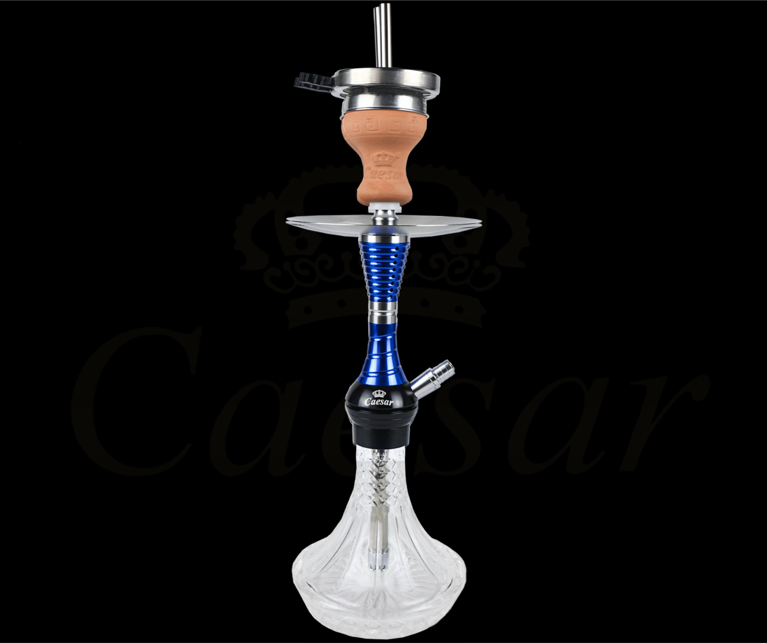 Caesar 02 - Blue / Transparent - Caesar Shisha