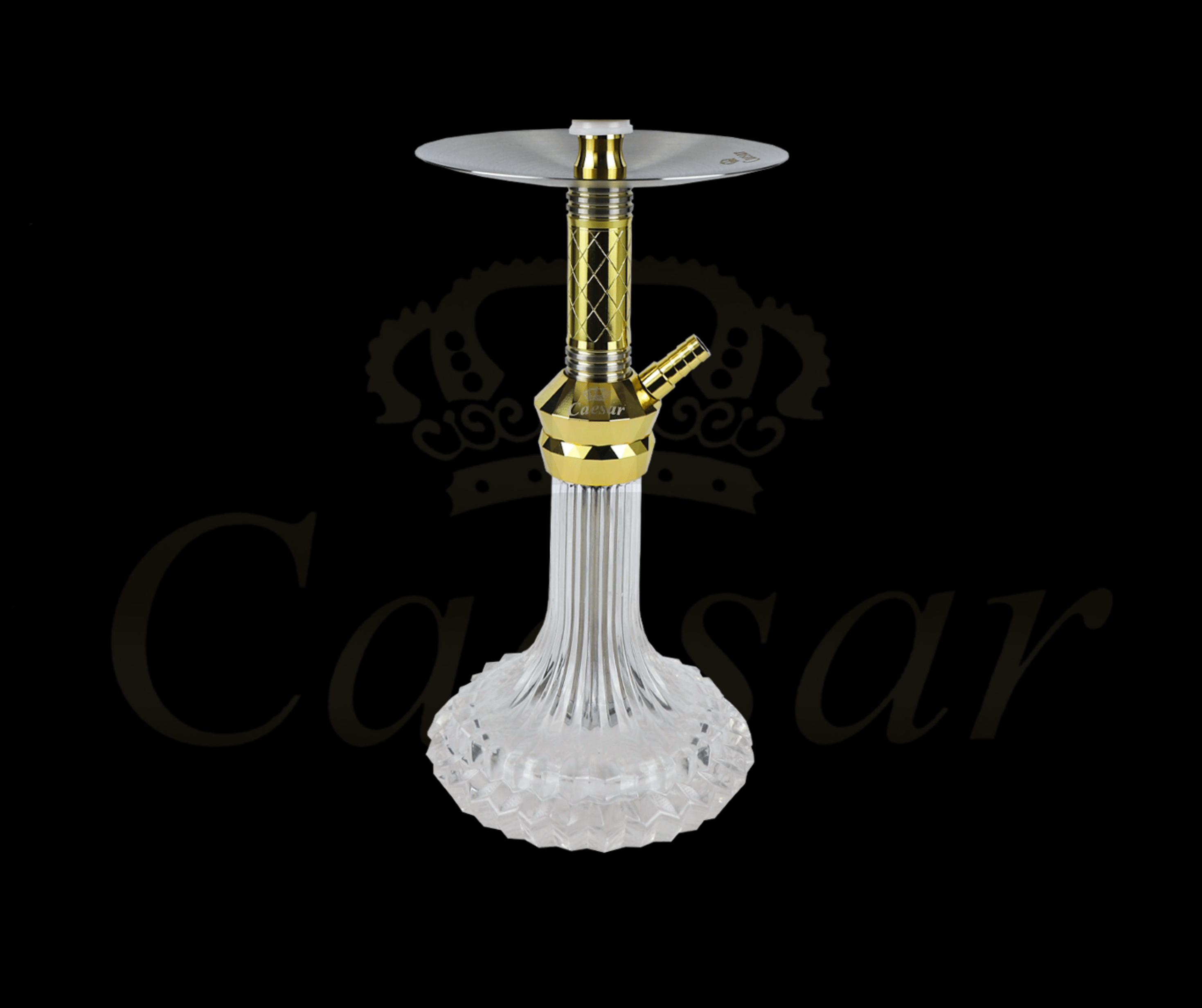 Caesar 09 - Gold / Transparent - Caesar Shisha