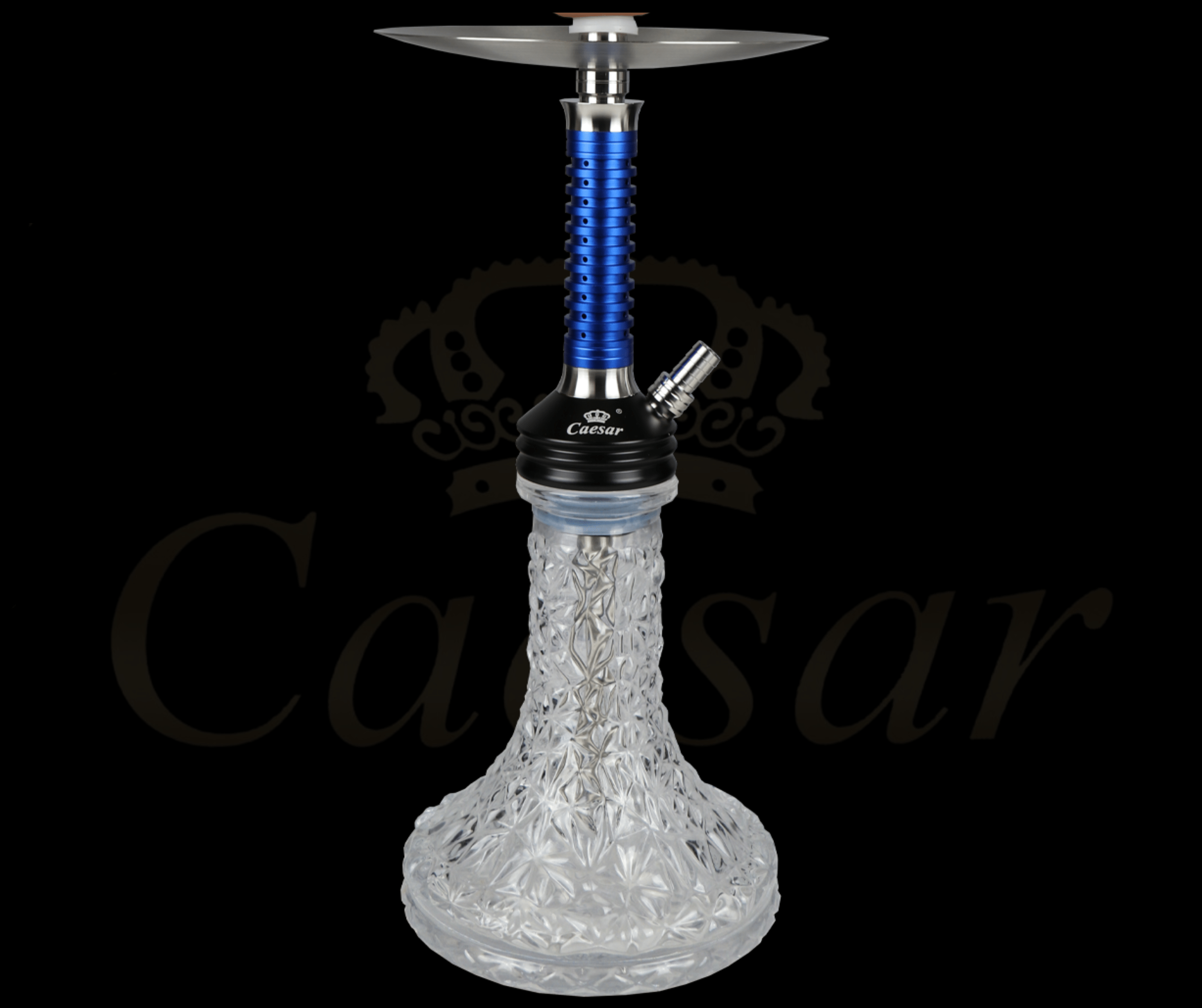 Caesar 12 - C - Blue / Transparent - Caesar Shisha