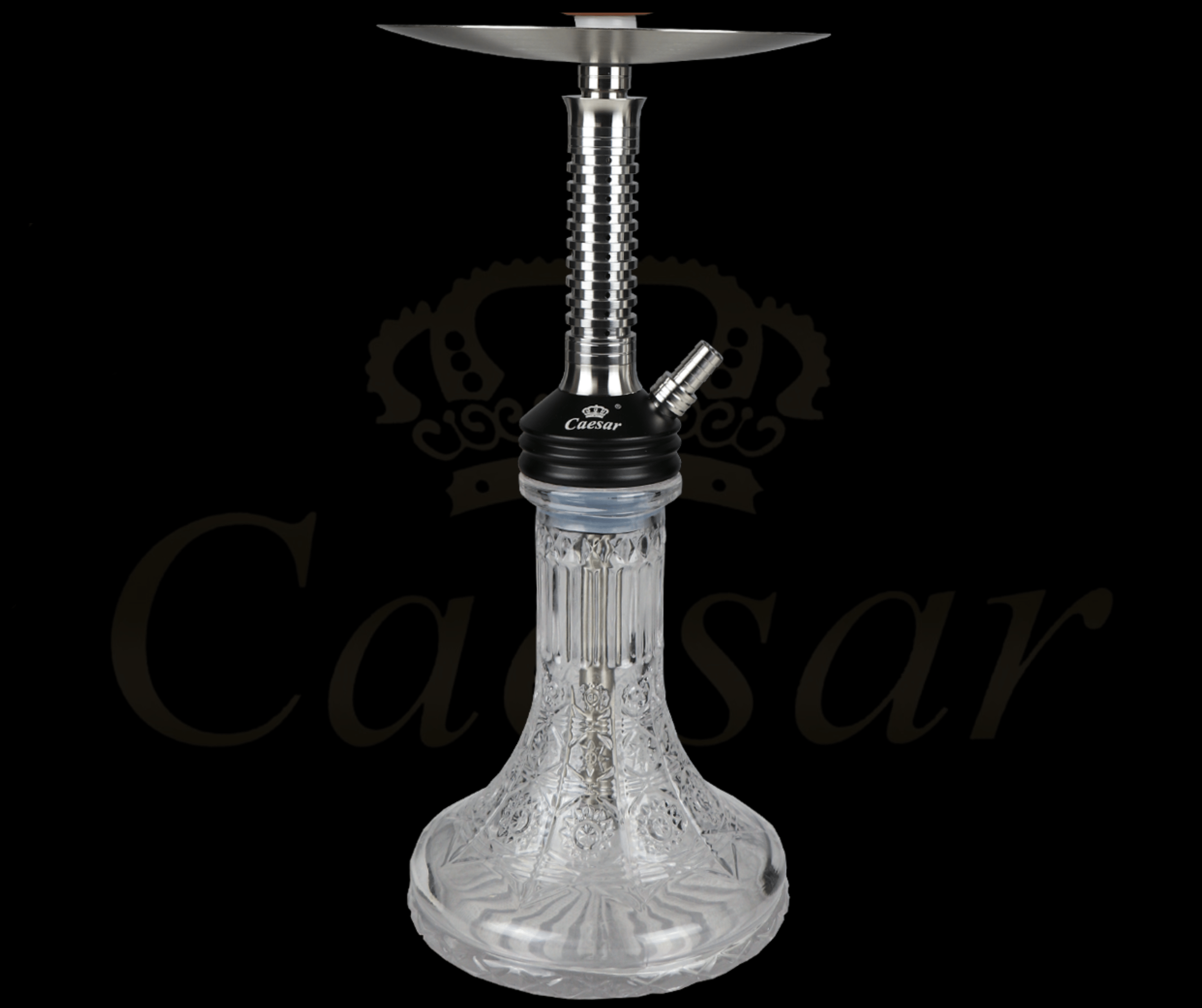 Caesar 12 - C - Silver / Transparent - Caesar Shisha