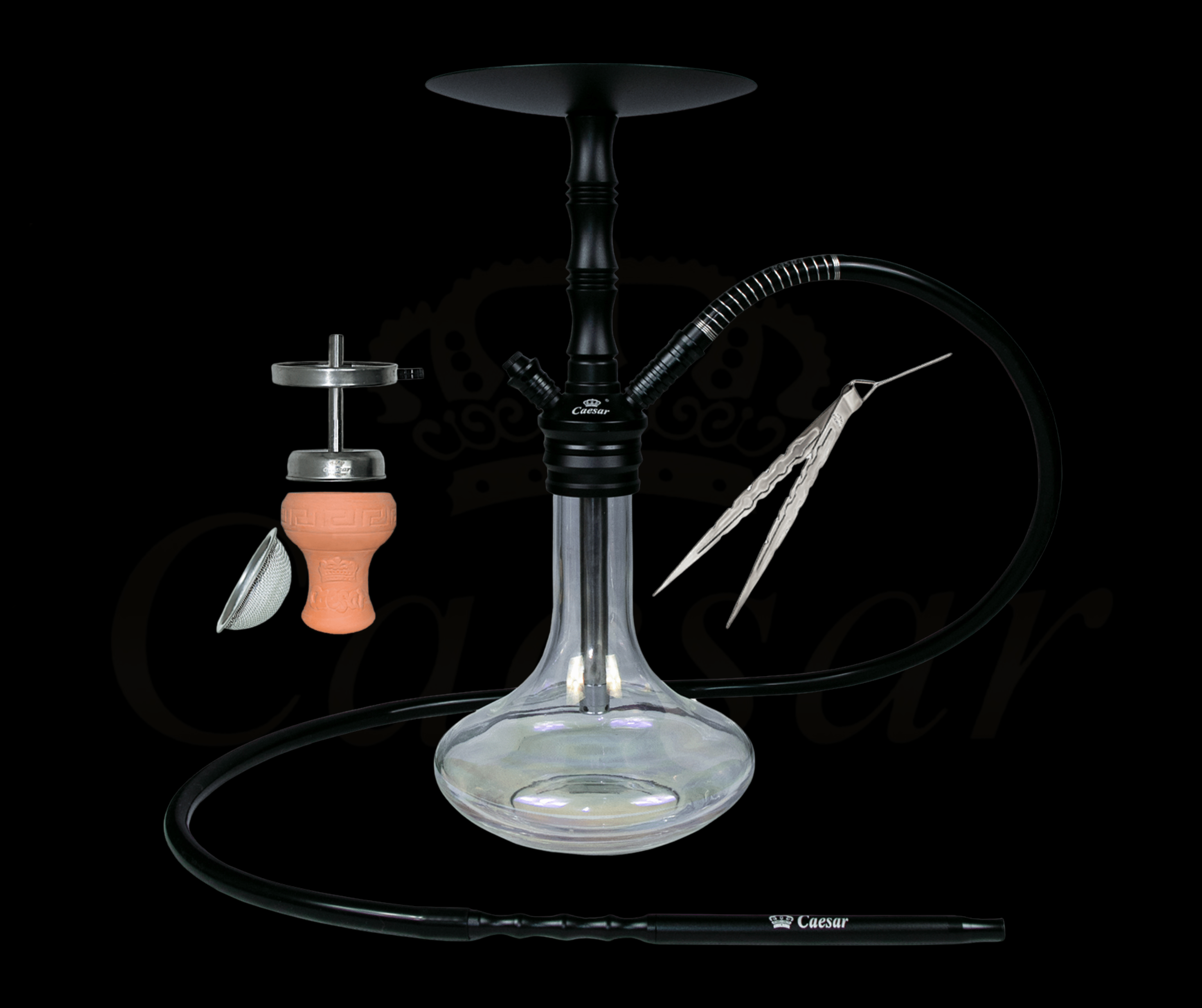 Caesar 2025 / 02 - Black - Caesar Shisha